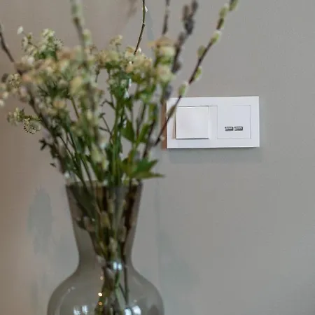 Bryggen 公寓 卑爾根